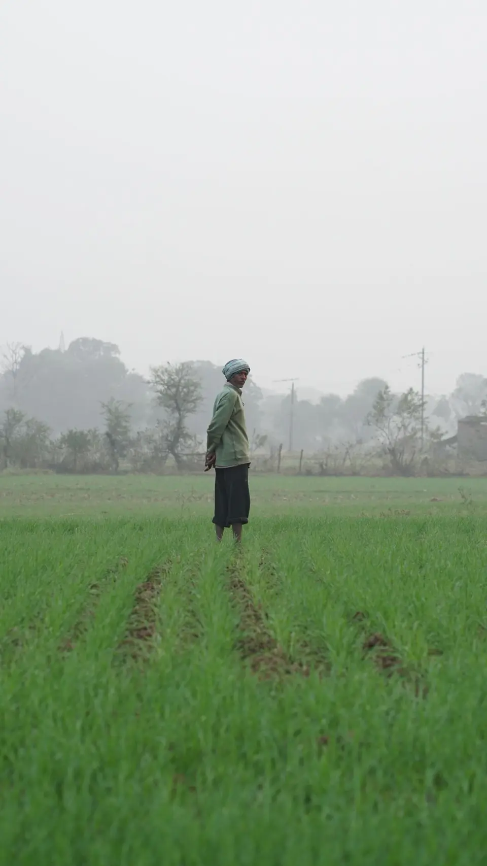 A lone farmer stands in a lush green field, showcasing traditional agriculture methods.